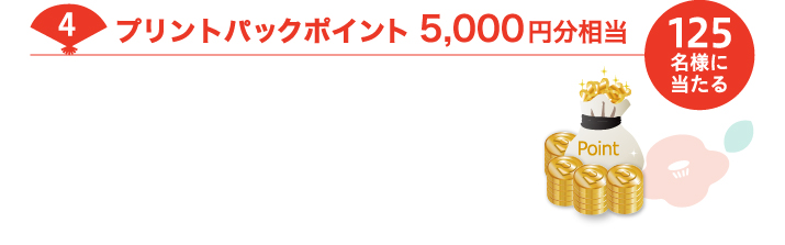 PAC ポイント5,000 円分相当