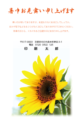 デザイン ATBS_SS004
