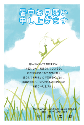 デザイン CTCR_SS046