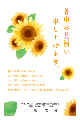 デザイン CTCR_SS072