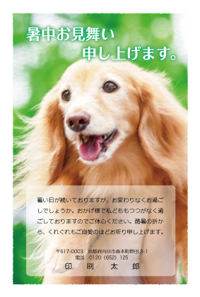 デザイン CTCR_SS078