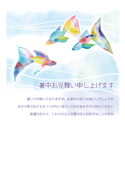 デザイン KTCO_SS178