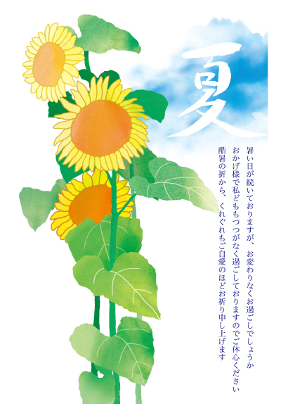 デザイン KTCO_SS202