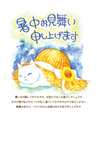 デザイン KTCO_SS340