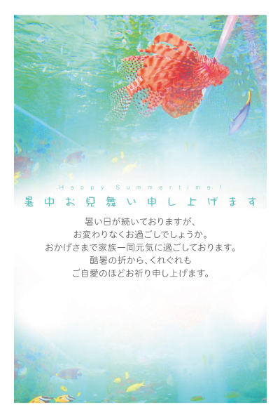 デザイン KTCO_SS395