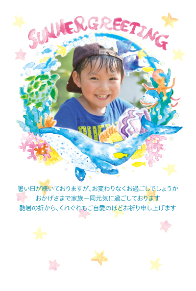 デザイン KTCO_SS528