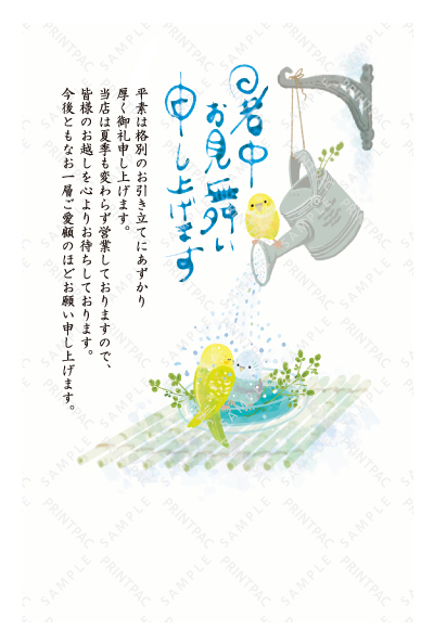 デザイン KTCO_SS704