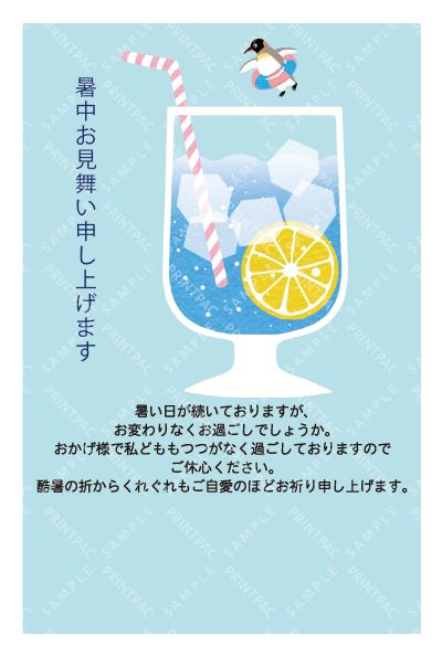 デザイン KTCO_SS804