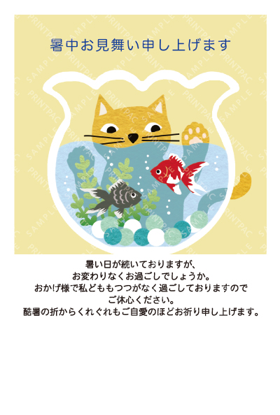 デザイン KTCO_SS805