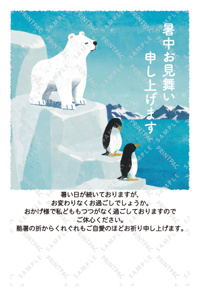 デザイン KTCO_SS898