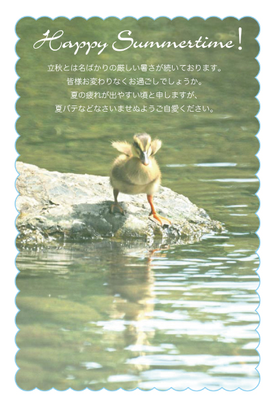 デザイン KTFC_LS026