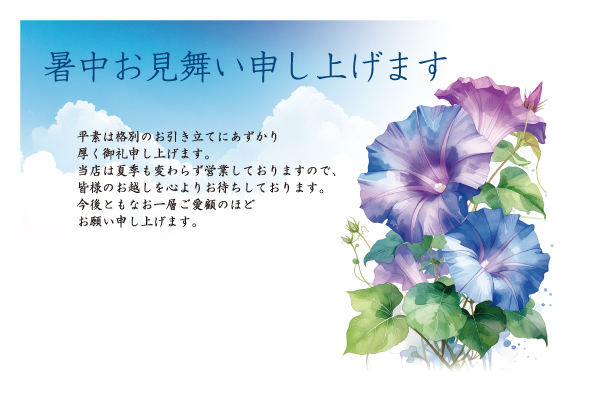 デザイン KYBS_SS209
