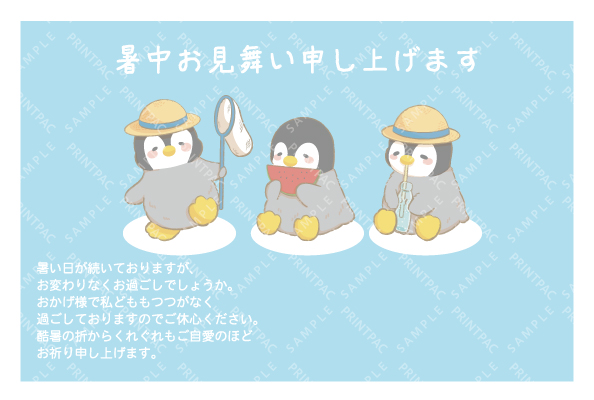 デザイン KYCO_SS223